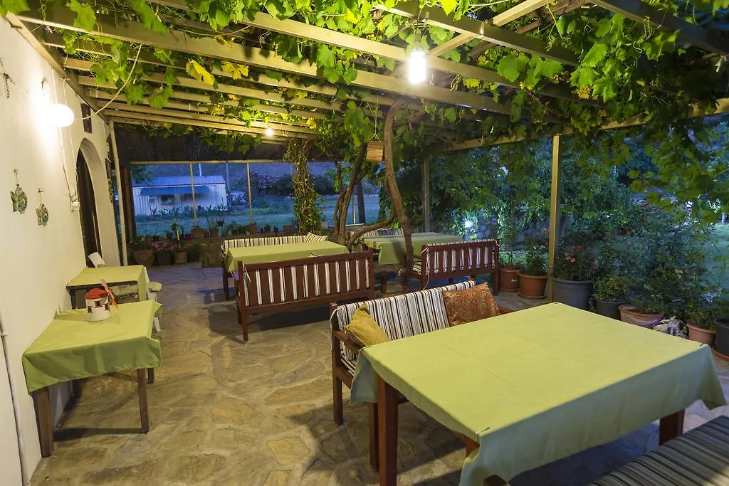 Oda ve Kahvaltı Turkeli Pansiyon Datça