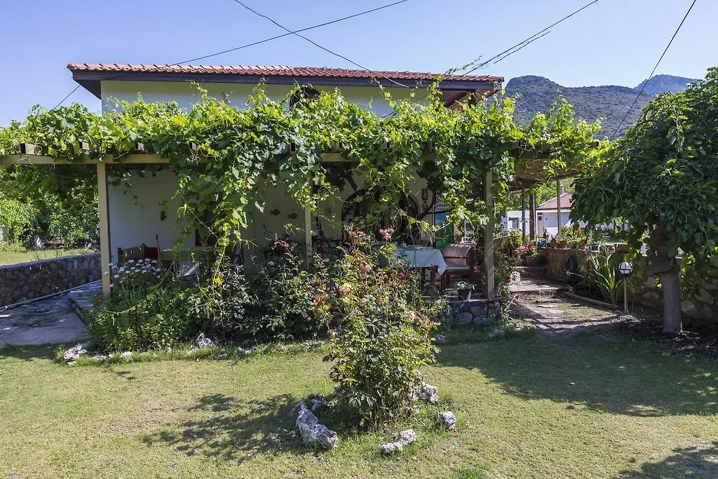 Oda ve Kahvaltı Turkeli Pansiyon Datça